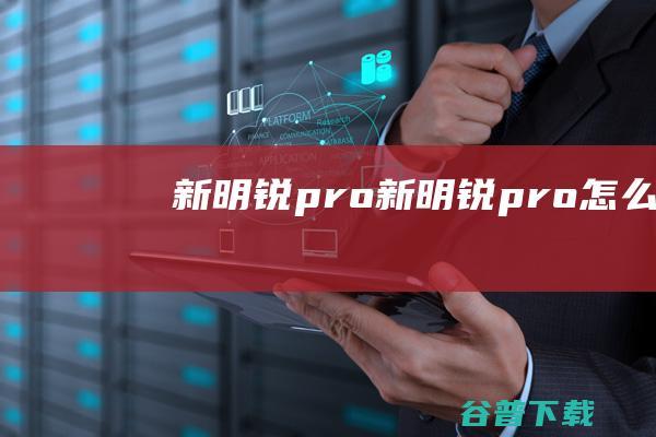 新明锐pro (新明锐pro怎么样)